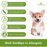 Pet Allergy Chews Manufacturer - Organic Allergy Soft Chews Customizable Brand Meat Pain Relief