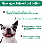 Pet Lawn Saver Factory - Private Label Dog Pee Lawn Spot Saver Prevent Grass Burn Spots Chews