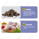 Pet Cat Multivitamin Supplier - HANYUN 10 in 1 Cat Multivitamin Glucosamine Essential Supplements