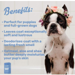 Pet Shampoo Factory - OEM ODM Factory Price Dog Coat Wash for Hydrating Cleansing Adding Shine