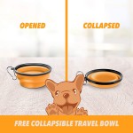 Pet Salmon Oil Factory - Pure Wild Alaskan Salmon Oil Skin Coat Fish Oil Liquid Pump Joint