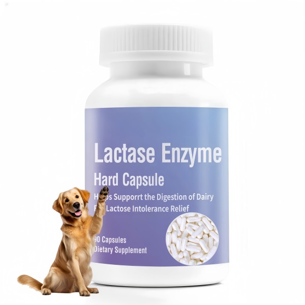 Pet Lactoferrin Supplement Supplier - Factory Professional Custom Brand Natural Lactoferrin Capsules