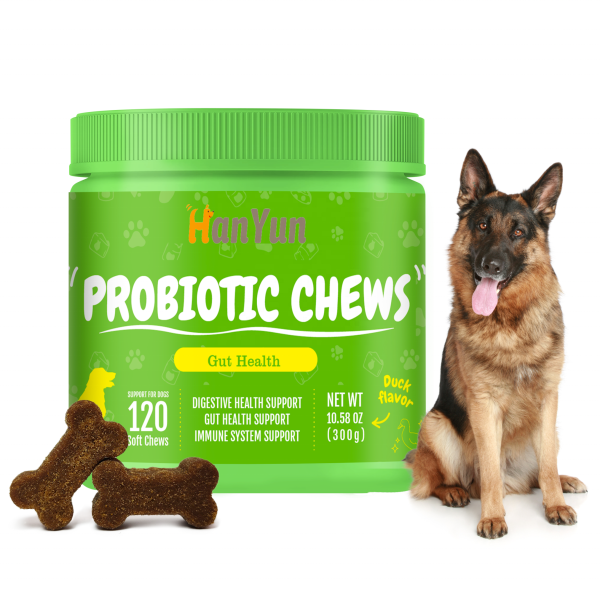 Pet Probiotic Supplier - With Natural Supplements Probiotic Soft Chews Health Supplements Treats