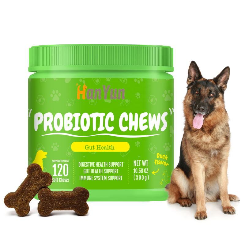 Pet Probiotic Supplier - With Natural Supplements Probiotic Soft Chews Health Supplements Treats