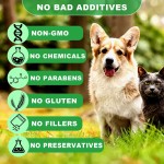 Pet Herbal Supplement Manufacturer - Cats Dogs Liquid Herbal Supplement Intestinal Defense Cleans