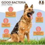 Pet Probiotic Chews Manufacturer - Hanyun Probiotics 90 Chews Digestive Enzymes Gut Health Immune