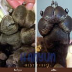 Pet Paw Balm Supplier - Paw Soother Stick 2oz Natural Organic Healing Paw Pad Balm for Pets