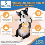 Pet Multivitamin Powder Manufacturer - Free Sample 15 in 1 Multivitamin Powder for Dogs Cats