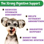 Pet Probiotic Chews Supplier - OEM ODM Digestive Probiotic Soft Chews Immune Health Nutrition