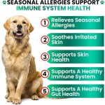 Pet Allergy Chews Factory - OEM Dog Allergy Chews Immune Bites Hot Spots Itch Relief Salmon Oil