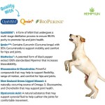 Pet Joint Supplement Factory - Factory OEM ODM Hip Joint for Dog Glucosamine Msm Turmeric Treats