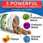Pet Digestive Supplement Manufacturer - Probiotic Soft Chews Supplement Sensitive Digestive Pumpkin