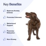 Pet Calming Chews Supplier - Custom Private Brand Professional Calming Chews Treats for Dogs