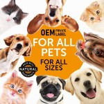 Pet Allergy Drops Manufacturer - Custom Immune Turmeric Milk Thistle Anti-itch