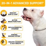 Dog Multivitamin Supplier - Custom 20 in 1 Immune Gut Health Chews