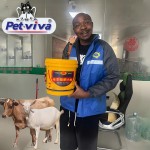 Pig Feed Additive Factory - OEM Nutrient Powder Immunity Fattening Booster