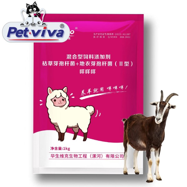 Sheep Feed Additive Supplier - Custom Bacillus Subtilis Dcp Mixed Supplement