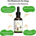 Pet Melatonin Supplier - Custom Sleep Aid Calming Anxiety Liquid