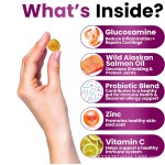 Dog Multivitamin Manufacturer - OEM Glucosamine Chondroitin MSM Powder