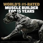 Dog Supplement Factory - Private Label High Protein Muscle Builder