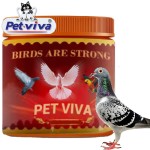 Pigeon Vitamins Supplier - Custom Growth Health Nutritional Supplements