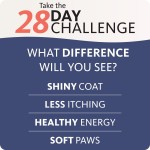 Pet Fish Oil Factory - Custom Omega 3 DHA EPA Liquid Supplement