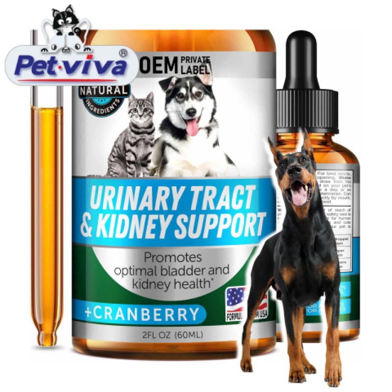 Pet Bladder Drops Factory - Custom OEM ODM Urinary Tract Kidney Support