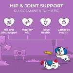 Pet Herbal Drops Supplier - Custom Hip Joint Mobility Glucosamine Turmeric