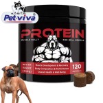 Dog Supplement Manufacturer - OEM High Protein Weight Gain Muscle Builder