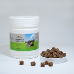 Pet Lecithin Manufacturer - Custom Hair Skin Joint Immune Granules