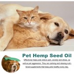 Pet Hemp Oil Factory - Custom Omega 3 6 9 Anxiety Relief Drops
