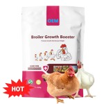 Sheep Feed Additive Supplier - Custom Bacillus Subtilis Dcp Mixed Supplement