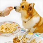 Pet Treats Factory - OEM Freeze Dried Pumpkin Chicken Duck Meat