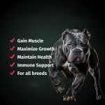 Dog Muscle Builder Factory - Custom High Calorie Protein Joint Health