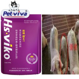 Poultry Feed Additive Supplier - OEM Bacillus Subtilis Brewer's Yeast Powder