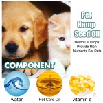 Pet Hemp Oil Factory - Custom Omega 3 6 9 Anxiety Relief Drops