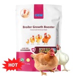 Animal Feed Additive Manufacturer - OEM Custom Lysine Poultry Growth Booster