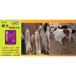 Sheep Feed Additive Supplier - Custom Bacillus Subtilis Dcp Mixed Supplement