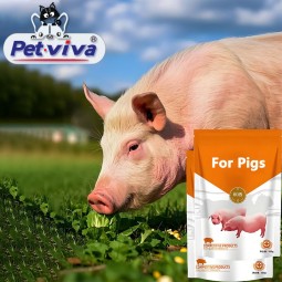 Pig Feed Additive Factory - OEM Nutrient Powder Immunity Fattening Booster