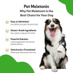 Pet Melatonin Supplier - Custom Sleep Aid Calming Anxiety Liquid