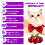 Cat Vitamins Supplier - Custom 15 in 1 Immune Support Liquid Drops