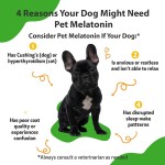 Pet Melatonin Supplier - Custom Sleep Aid Calming Anxiety Liquid