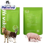 Poultry Feed Additive Manufacturer - OEM Enterococcus Faecalis Intestinal Health