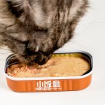 Pet Wet Food Supplier - OEM Peptido Full Price Full-Term Cat Wet Food 85g Canned Staple Food