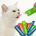 Pet Food Factory - Best-Selling China Manufacture 12g Full Price Staple Food Cat Strips