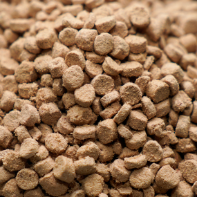 Cat Food Factory - Good Price Peptido Freeze-Dried Raw Bone Meat 400g Adult Cat Kitten Dry