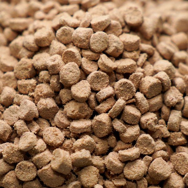 Cat Food Factory - Good Price Peptido Freeze-Dried Raw Bone Meat 400g Adult Cat Kitten Dry