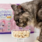 Pet Snacks Supplier - Top Quality Peptido Freeze-Dried Snacks Sheep's Milk Sticks 60g