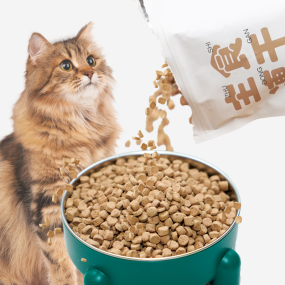 猫粮源头工厂-高品质热销Peptido冻干猫粮400克猫食品源头厂家供应