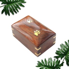 Pet Coffin Supplier - Custom Environmentally Friendly Solid Wood